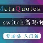 4.3 switch流程语句-瓜皮猫量化编程