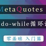 4.5 do while循环语句-瓜皮猫量化编程
